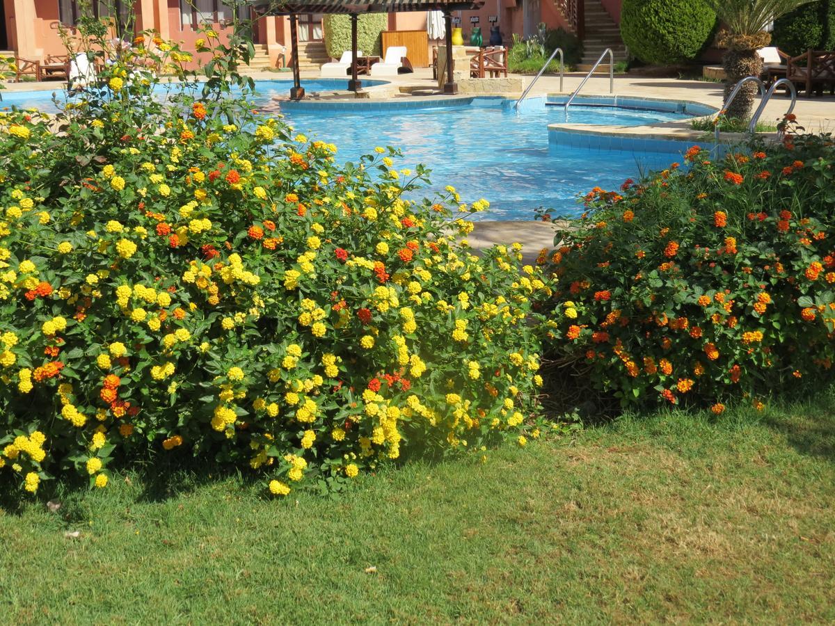 Africana Hotel & Spa Qaryat Shakush Eksteriør billede